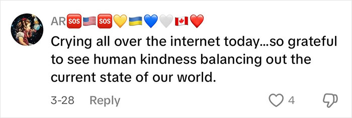 Comment expressing gratitude for kindness online, reflecting the internet reaction to a Japanese waitress helping a traveling mom and dad. Comment expressing gratitude for kindness online, reflecting the internet reaction to a Japanese waitress helping a traveling mom and dad.