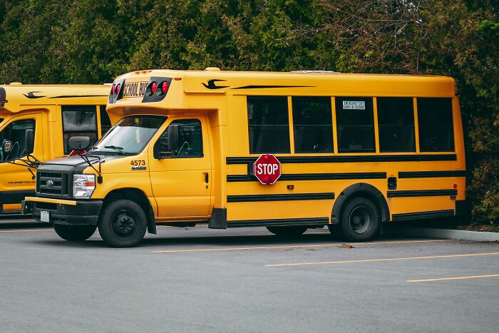Yellow school bus parked by trees with a visible stop sign, illustrating the concept of wildest life blunders.