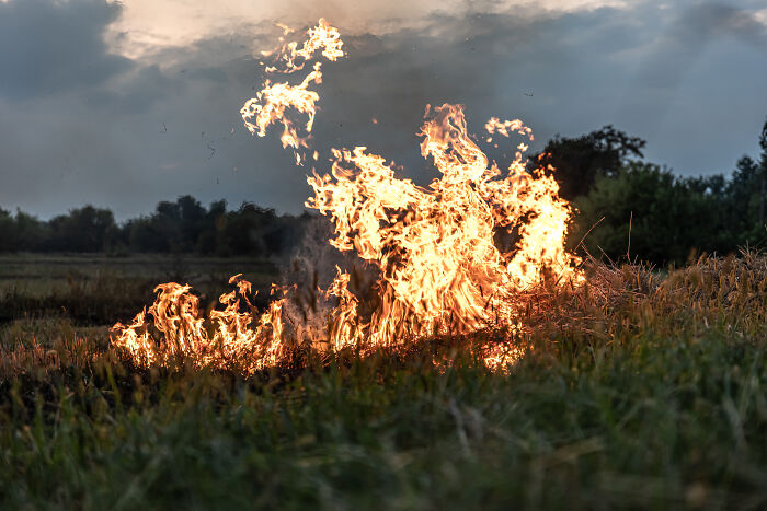 Flames engulfing a field under a cloudy sky, symbolizing chaos and intensity linked to unhinged parents.