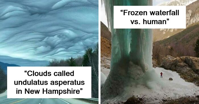 78 Images Shared On The ‘Megalophobia’ Group That Are Scarily Big (New Pics)