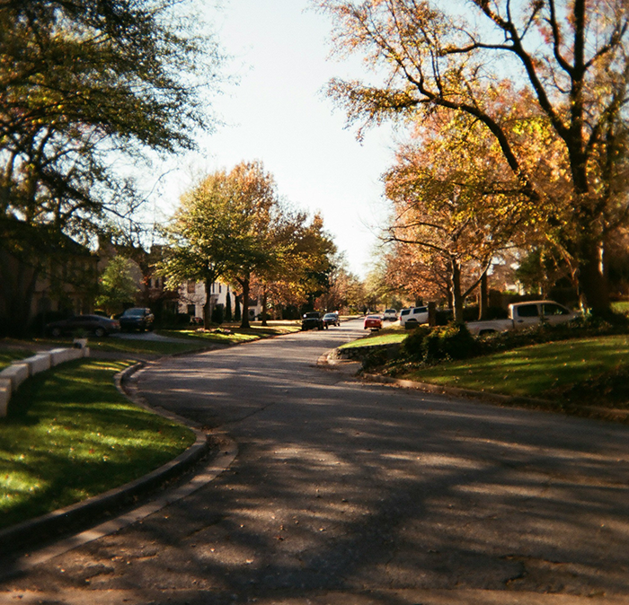 Residential neighborhood street lined with trees and parked cars, peaceful with no visible fence damage or sabotage.