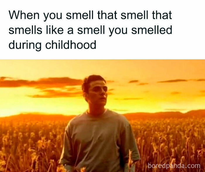Meme showing a man in a field at sunset with text about smelling a scent from childhood nostalgia for millennials.