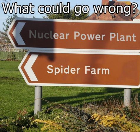nuclear-spider-6824b84c48cad.jpg