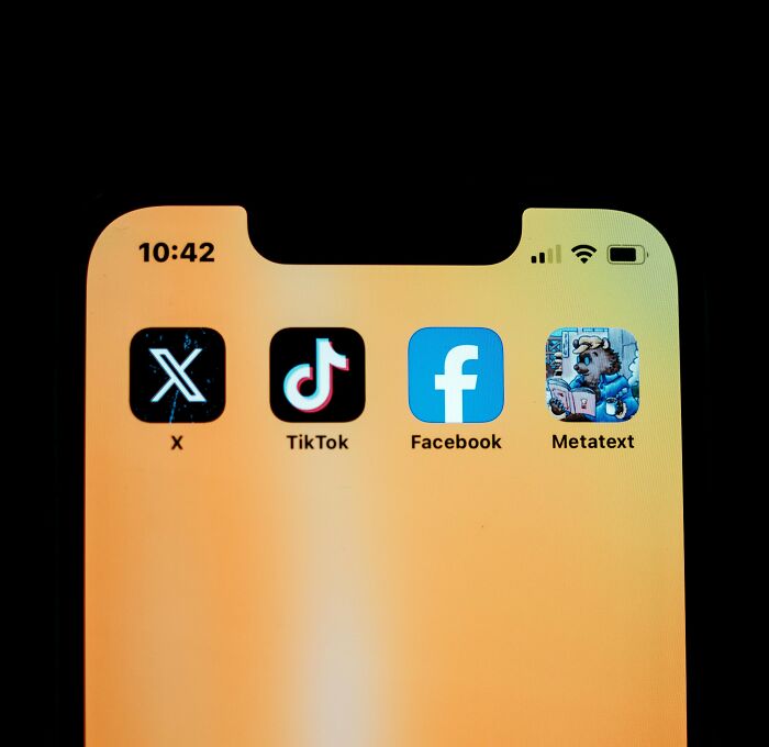 Smartphone screen showing social media apps X, TikTok, Facebook, and Metatext representing netizens' online activities.