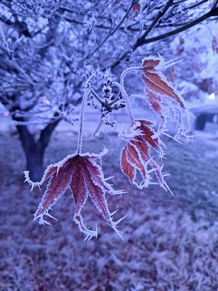 50 Stories With Massive Consequences That Are Barely Making The News