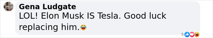 Screenshot of a Facebook comment saying Elon Musk is Tesla and wishing good luck replacing him. Screenshot of a Facebook comment saying Elon Musk is Tesla and wishing good luck replacing him.