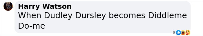 Comment mentioning Harry Potter star Dudley Dursley in a humorous context related to an X-rated gay film. Comment mentioning Harry Potter star Dudley Dursley in a humorous context related to an X-rated gay film.