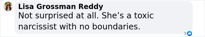 Screenshot of a social media comment criticizing Victoria Beckham as toxic and hurtful amid wedding drama with Nicola Peltz. Screenshot of a social media comment criticizing Victoria Beckham as toxic and hurtful amid wedding drama with Nicola Peltz.