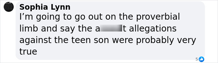 Comment from Sophia Lynn discussing allegations against a teen son related to a family confrontation incident. Comment from Sophia Lynn discussing allegations against a teen son related to a family confrontation incident.
