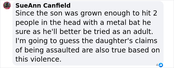 Comment by SueAnn Canfield discussing son's violent act with metal bat and daughter's assault claims in a related incident. Comment by SueAnn Canfield discussing son's violent act with metal bat and daughter's assault claims in a related incident.
