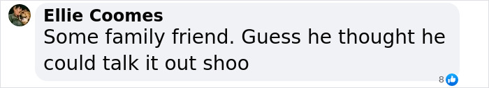 Comment from Ellie Coomes discussing a family friend and a confrontation about a teen daughter's alleged assaulter. Comment from Ellie Coomes discussing a family friend and a confrontation about a teen daughter's alleged assaulter.