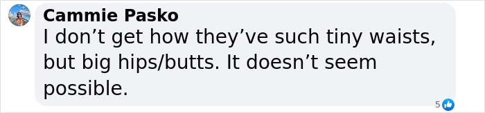 Comment from Cammie Pasko expressing disbelief about tiny waists and big hips or butts, referencing body shape suspicions. Comment from Cammie Pasko expressing disbelief about tiny waists and big hips or butts, referencing body shape suspicions.