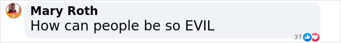 Screenshot of a social media comment saying how can people be so evil in response to a true horror story about a 7YO girl found in a closet. Screenshot of a social media comment saying how can people be so evil in response to a true horror story about a 7YO girl found in a closet.