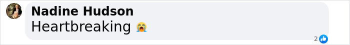 Comment on social media post expressing heartbreak about a 7-year-old girl found in a closet during a missing sister search. Comment on social media post expressing heartbreak about a 7-year-old girl found in a closet during a missing sister search.