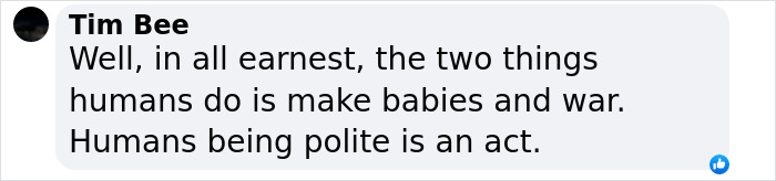 Comment by Tim Bee discussing human nature, featured in coverage of controversial artist's public gallery experience. Comment by Tim Bee discussing human nature, featured in coverage of controversial artist's public gallery experience.
