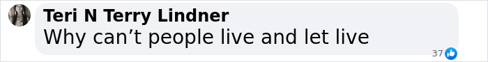 Facebook comment from Teri N Terry Lindner saying why can't people live and let live with 37 likes. Facebook comment from Teri N Terry Lindner saying why can't people live and let live with 37 likes.