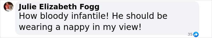 Comment expressing frustration at someone's behavior, describing it as infantile and suggesting they should wear a nappy. Comment expressing frustration at someone's behavior, describing it as infantile and suggesting they should wear a nappy.