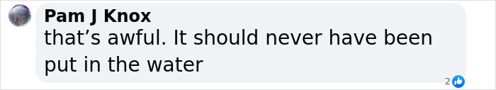 Comment by Pam J Knox expressing sorrow about OceanGate incident, reflecting public reaction to CEO’s wife’s chilling moment. Comment by Pam J Knox expressing sorrow about OceanGate incident, reflecting public reaction to CEO’s wife’s chilling moment.