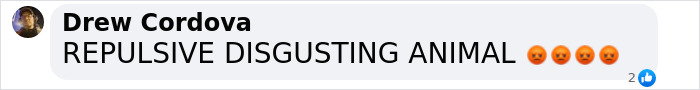 Comment on social media post with angry emojis expressing disgust toward person being discussed in a toddler blood-related controversy. Comment on social media post with angry emojis expressing disgust toward person being discussed in a toddler blood-related controversy.