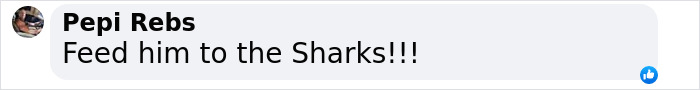 Comment on social media post saying feed him to the Sharks related to toddler found covered in blood after influencer incident Comment on social media post saying feed him to the Sharks related to toddler found covered in blood after influencer incident