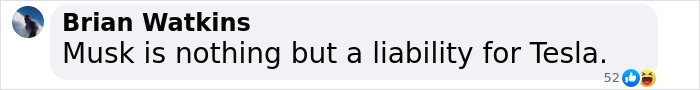 Comment stating Musk is a liability for Tesla, highlighting concerns in Tesla searches for new CEO. Comment stating Musk is a liability for Tesla, highlighting concerns in Tesla searches for new CEO.