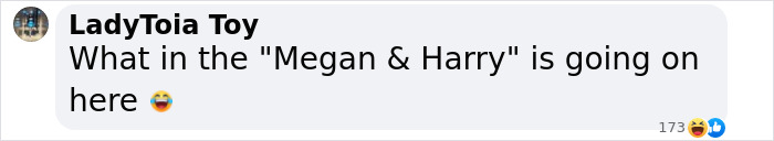 Image of a social media comment discussing the Megan and Harry situation, related to David Beckham narcissistic claims. Image of a social media comment discussing the Megan and Harry situation, related to David Beckham narcissistic claims.