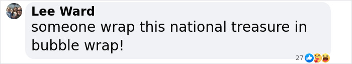 Comment by Lee Ward saying someone should wrap this national treasure in bubble wrap, emphasizing David Attenborough nearing end of life warning. Comment by Lee Ward saying someone should wrap this national treasure in bubble wrap, emphasizing David Attenborough nearing end of life warning.