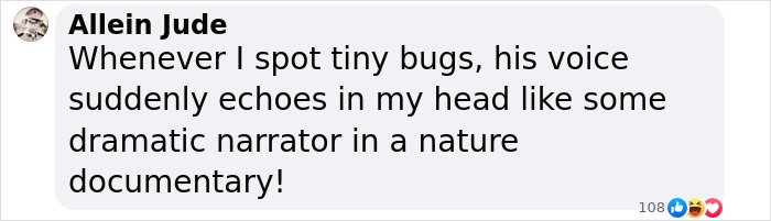 Comment from Allein Jude reflecting on David Attenborough’s iconic nature documentary narration style. Comment from Allein Jude reflecting on David Attenborough’s iconic nature documentary narration style.