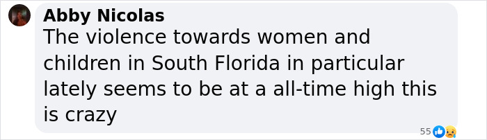 Comment by Abby Nicolas discussing rising violence towards women and children in South Florida shown in a social media post. Comment by Abby Nicolas discussing rising violence towards women and children in South Florida shown in a social media post.