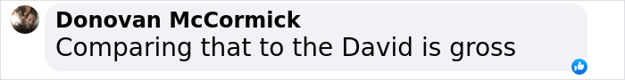 Comment by Donovan McCormick criticizing comparison to David in a discussion about Black woman statue debate in NYC Times Square. Comment by Donovan McCormick criticizing comparison to David in a discussion about Black woman statue debate in NYC Times Square.