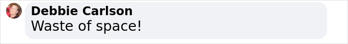 Comment on social media post expressing “Waste of space” opinion about statue of Black woman in NYC Times Square igniting debate. Comment on social media post expressing “Waste of space” opinion about statue of Black woman in NYC Times Square igniting debate.