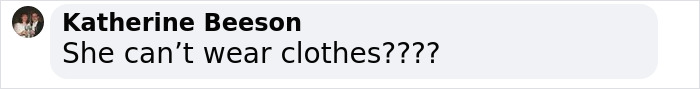 Comment reading She can’t wear clothes with a profile picture of a person in a social media discussion about Lorde’s new topless video. Comment reading She can’t wear clothes with a profile picture of a person in a social media discussion about Lorde’s new topless video.