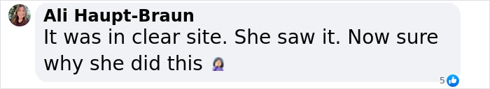 Comment by Ali Haupt-Braun expressing confusion about a clear sighting related to a plane crash incident. Comment by Ali Haupt-Braun expressing confusion about a clear sighting related to a plane crash incident.