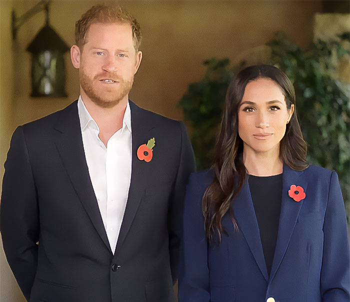 Prince Harry and Meghan Markle wearing poppies, posing formally indoors with neutral expressions in a well-lit setting.