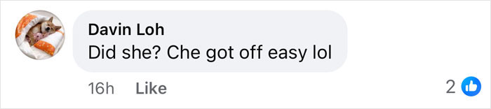 Comment by Davin Loh reacting to a joke, displayed with a dog profile picture and two likes. Comment by Davin Loh reacting to a joke, displayed with a dog profile picture and two likes.