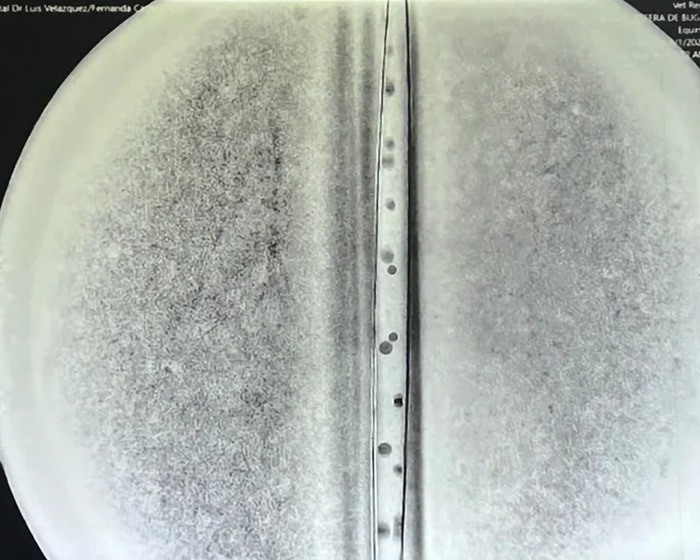 Close-up of a mysterious UFO object with ominous markings linked to origin of birth, analyzed by scientists in a lab setting. Close-up of a mysterious UFO object with ominous markings linked to origin of birth, analyzed by scientists in a lab setting.