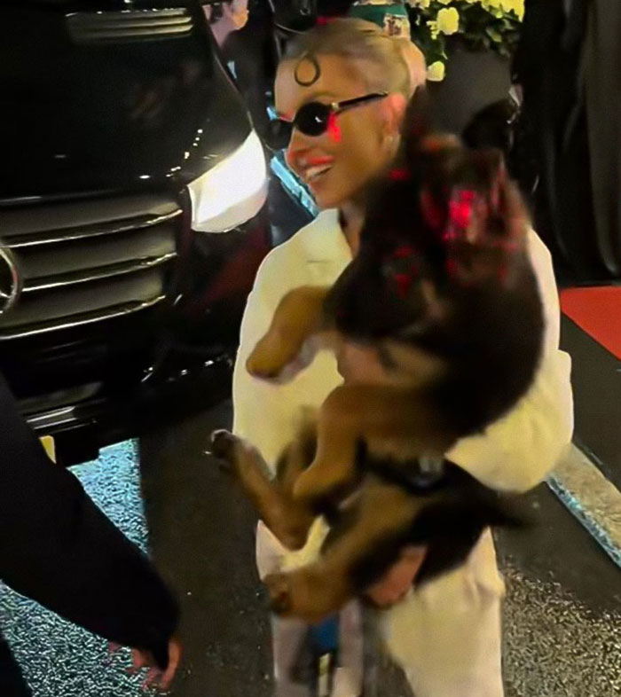 Sydney Sweeney holding a puppy on the Met Gala red carpet amid controversy over animal treatment. Sydney Sweeney holding a puppy on the Met Gala red carpet amid controversy over animal treatment.