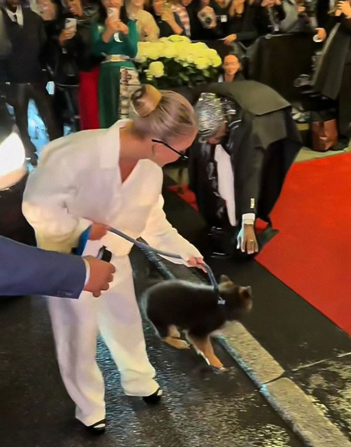 Sydney Sweeney holding a puppy on the Met Gala red carpet, with crowd and photographers in the background. Sydney Sweeney holding a puppy on the Met Gala red carpet, with crowd and photographers in the background.