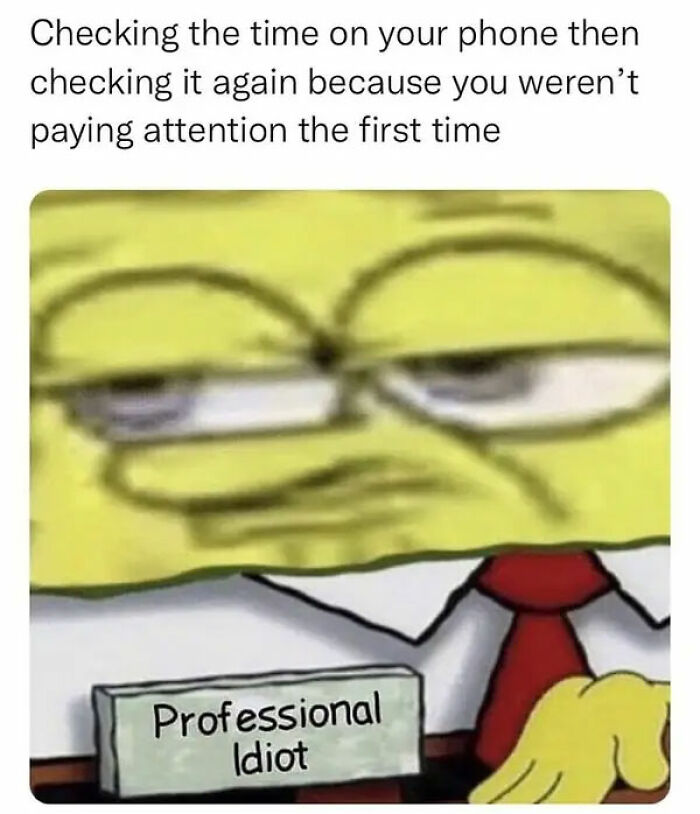 Meme showing a tired character labeled professional idiot, reflecting relatable human experience humor.