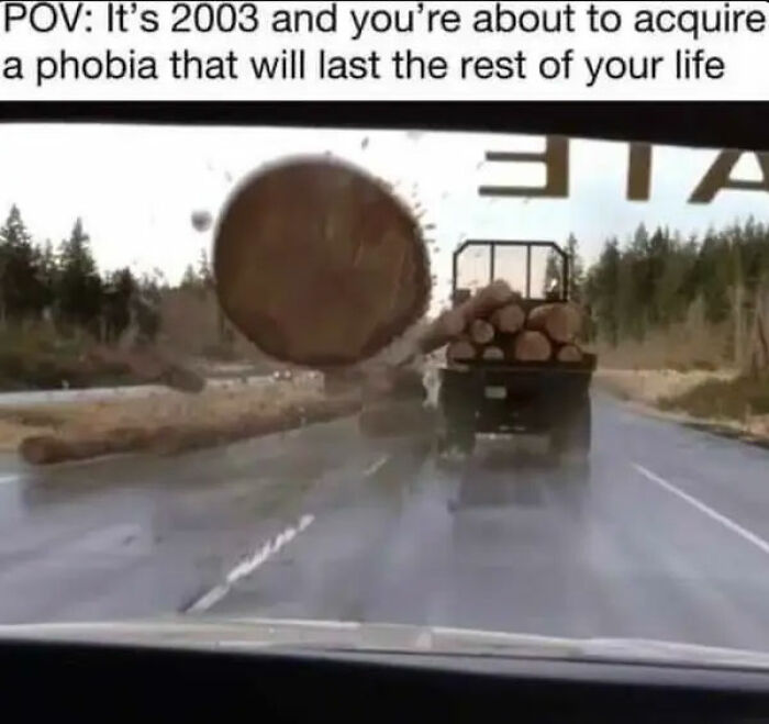 View from a car of a large log flying off a truck on a forest road, illustrating memes encapsulating human experience.