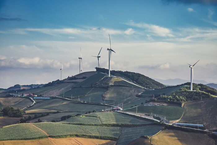 Wind turbines on rolling hills under a cloudy sky representing mind-boggling beliefs smart people still stand behind.