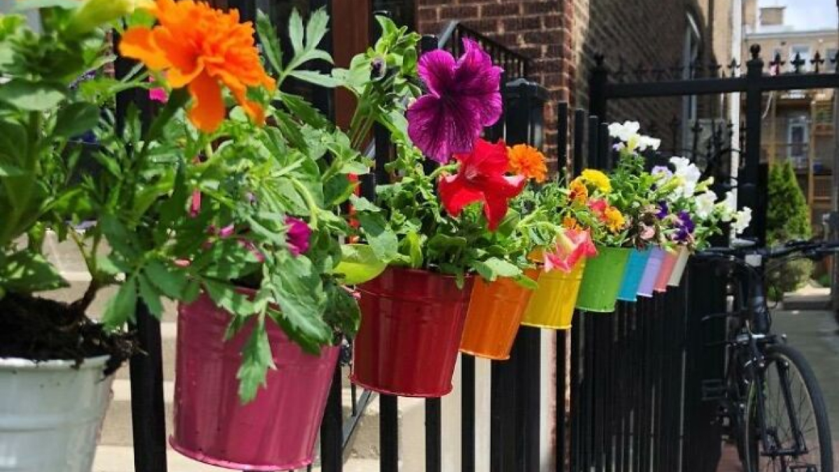 Colorful flower pots hanging on a black backyard railing as a vibrant outdoor upgrades idea for summer.
