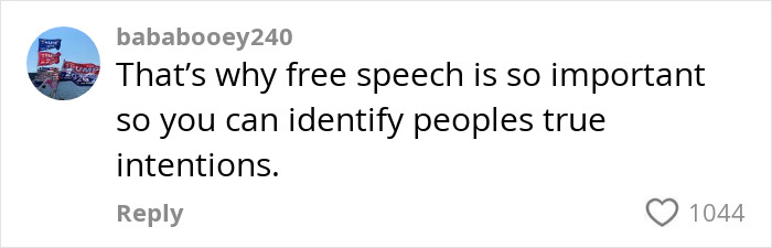 Comment stating free speech is important to identify people's true intentions on social media post about trad-wife influencer. Comment stating free speech is important to identify people's true intentions on social media post about trad-wife influencer.