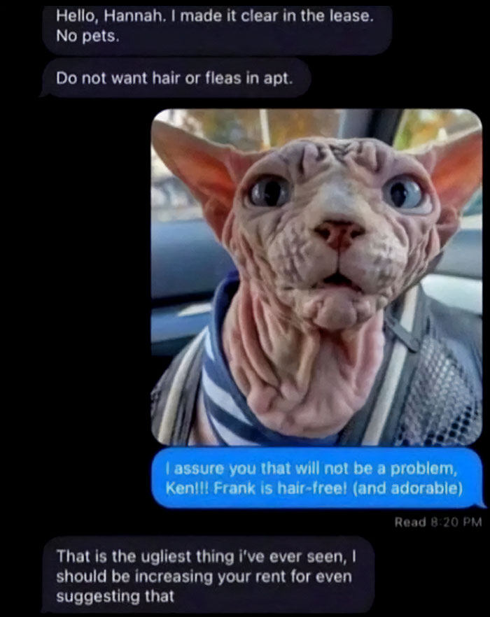 Text message exchange about a hair-free, wrinkled cat with photos, highlighting hilarious and worst main character moments.