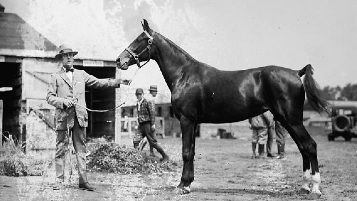 Man in vintage clothing holding a horse at a stable, rare photograph restored from old glass negatives.