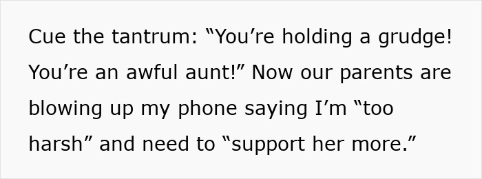 Text showing a family conflict where mom expects endless babysitting from sister and shames her for going on a trip instead. Text showing a family conflict where mom expects endless babysitting from sister and shames her for going on a trip instead.