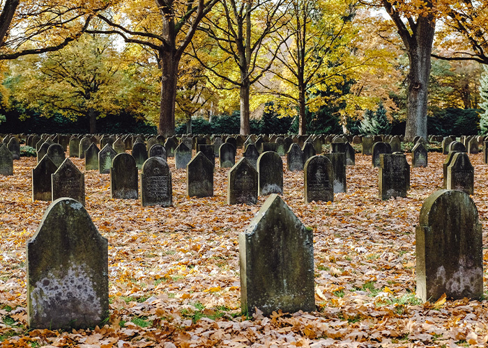 Facts You Probably Wish You Didn’t Know: 40 Disturbing Truths Shared Online