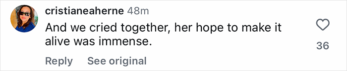 Comment from Cristiane Aherne expressing hope for survival after being trapped inside active volcano. Comment from Cristiane Aherne expressing hope for survival after being trapped inside active volcano.