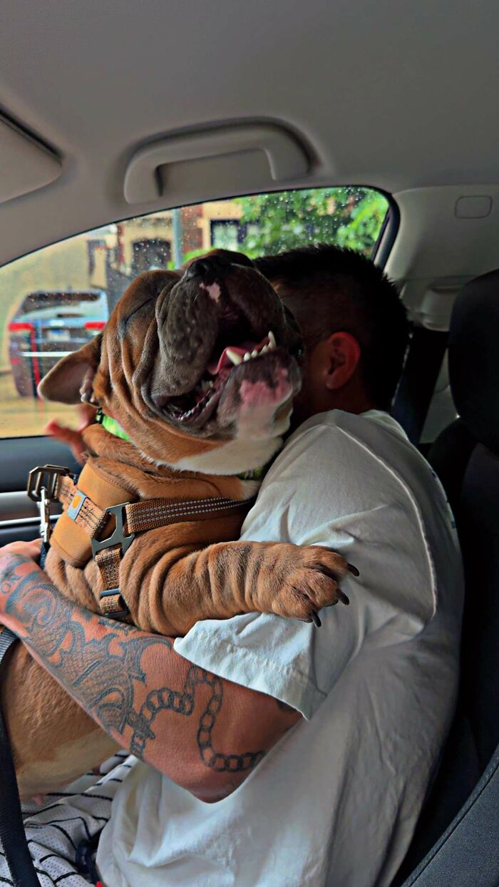 This Rescue Helped A Homeless Man Reunite With His Dog After Her Life-Saving Surgery This Rescue Helped A Homeless Man Reunite With His Dog After Her Life-Saving Surgery