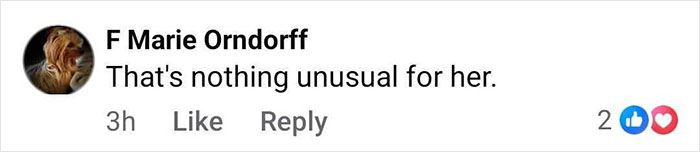 Comment on social media reading that's nothing unusual for her, related to Jennifer Lopez pubic area controversy. Comment on social media reading that's nothing unusual for her, related to Jennifer Lopez pubic area controversy.
